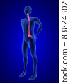 Spine Pain. Blue Human Anatomy Body 3D render on blue background 83824302