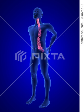 Spine Pain. Blue Human Anatomy Body 3D render on blue background Spine Pain. Blue Human Anatomy Body 3D render on blue background 83824302