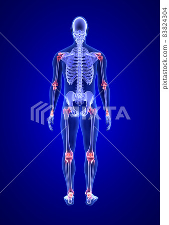 Joint pain. Blue Human Anatomy Body and Skeleton 3D Scan render on blue background from back view Joint pain. Blue Human Anatomy Body and Skeleton 3D Scan render on blue background from back view 83824304