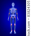 Joint pain. Blue Human Anatomy Body and Skeleton 3D Scan render on blue background from front view 83824305