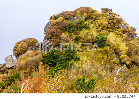 Autumn leaves of Mt. Unzen View from the peak of Tateiwa [Unzen City, Nagasaki Prefecture] 83825744