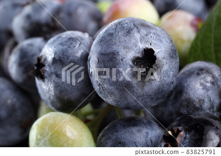 Blueberries background. Berries and leaves Blueberries background. Berries and leaves 83825791