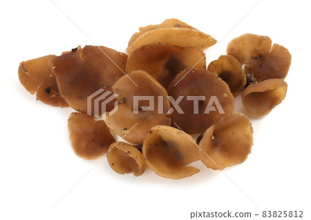Peziza mushroom isolated on white background 83825812