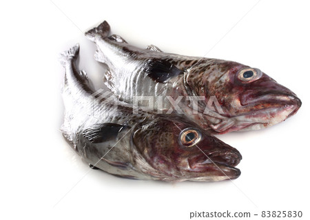Alaska pollock isolated on white Alaska pollock isolated on white 83825830