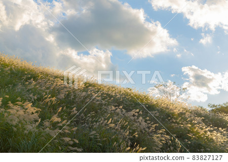 鈴木場 鈴木場 83827127