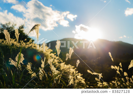 日落和Susuki 83827128