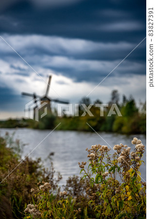 Dutch famous landscape, windmills 83827391
