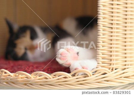 A sleeping child 83829301