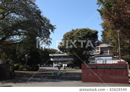 菊門學園女子大學 83829340