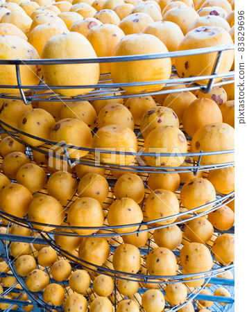 dried up persimmon under the sun in Xinpu township, Hsinchu, Taiwan 83829696