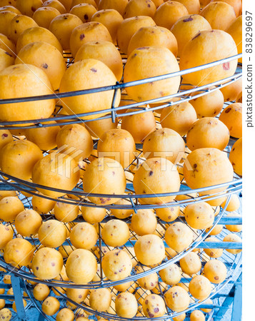 dried up persimmon under the sun in Xinpu township, Hsinchu, Taiwan dried up persimmon under the sun in Xinpu township, Hsinchu, Taiwan 83829697