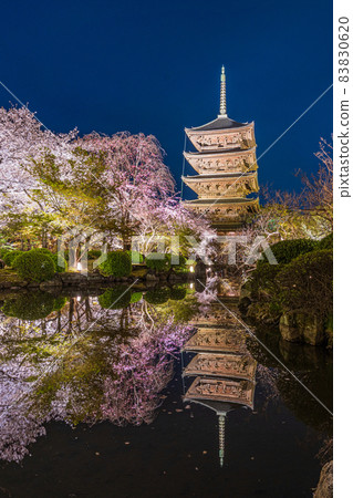 Sakura and Toji are reflected on the surface of the water 83830620
