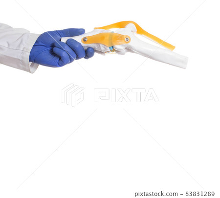 Doctor surgeon in medical gloves holds knee joint model on white background, isolate. Knee replacement concept, prosthetics, copy space for text Doctor surgeon in medical gloves holds knee joint model on white background, isolate. Knee replacement concept, prosthetics, copy space for text 83831289