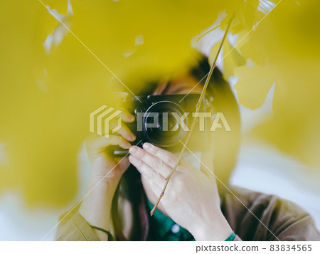 The person who shoots the ginkgo 83834565