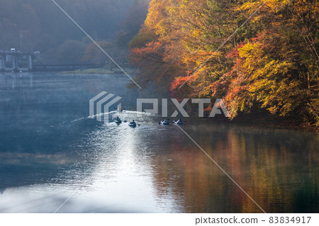 Autumn Shima Lake early morning canoe Autumn Shima Lake early morning canoe 83834917