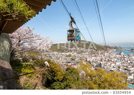 尾道千光寺公園的春天櫻花 83834954
