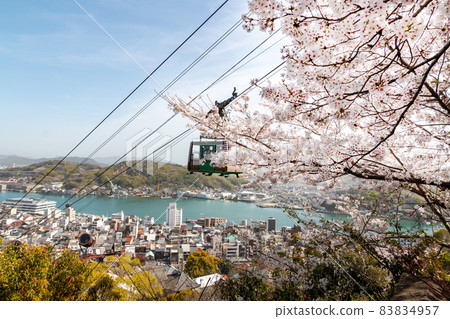 Spring cherry blossoms in Onomichi Senkoji Park 83834957