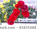 Red roses blooming outdoors 83835088