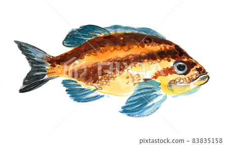 Tropical coral fish. Ink and watercolour drawing 83835158
