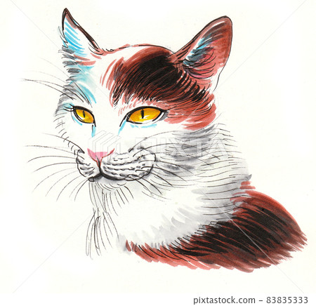 Cat portrait. ink and watercolour drawing 83835333