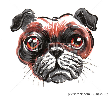 Cute bulldog puppy. Ink and watercolour drawing 83835334