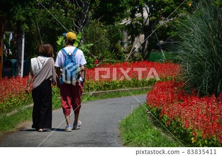 Kobe Animal Kingdom 83835411