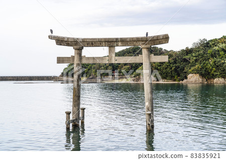 紀伊田邊天神崎，從海鳥居（參拜點）眺望本島神社 83835921