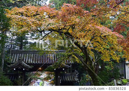 赤山禪佛山門 赤山禪佛山門 83836328