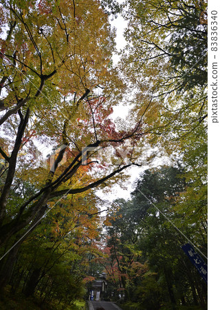 Akayama Zen-japon entrance 83836340