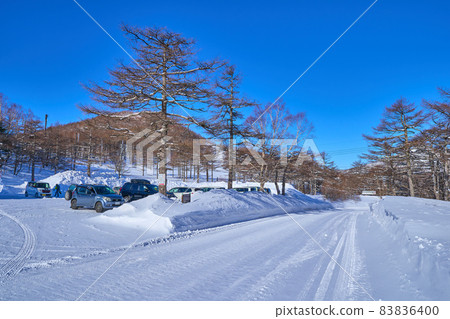 冬季從櫻花公園線觀賞長野縣小諸市高峰高原遊客中心停車場 83836400