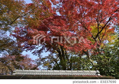 Shugakuin Imperial Villa, Upper Imperial Palace, Onarimon Autumn Leaves Shugakuin Imperial Villa, Upper Imperial Palace, Onarimon Autumn Leaves 83837690