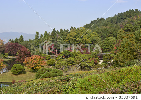 Shogakuin Imperial Palace Imperial Palace Tornado Pond 83837691