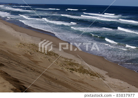 Tottori four seasons walk autumn sand dunes Tottori four seasons walk autumn sand dunes 83837977