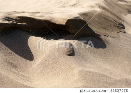 Tottori four seasons walk autumn sand dunes Tottori four seasons walk autumn sand dunes 83837978