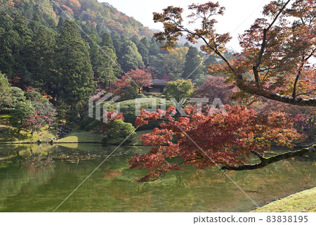 Shogakuin皇宮皇宮龍捲風池塘 Shogakuin皇宮皇宮龍捲風池塘 83838195