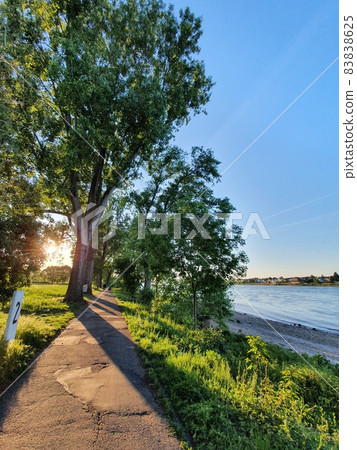 Pedestrian near to a big river - Rhein by Bonn Pedestrian near to a big river - Rhein by Bonn 83838625