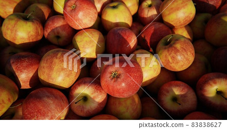 Delicious fresh juicy apples in local fruit market Delicious fresh juicy apples in local fruit market 83838627