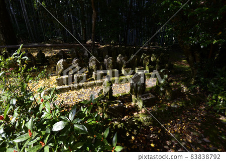 赤山芝寧羅漢和石佛 83838792