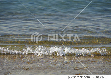 The windless beach, the waves coming in are small and cute. Indian summer, something warm in my heart. 83839256