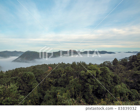 雲海和津和野城遺址 雲海和津和野城遺址 83839332