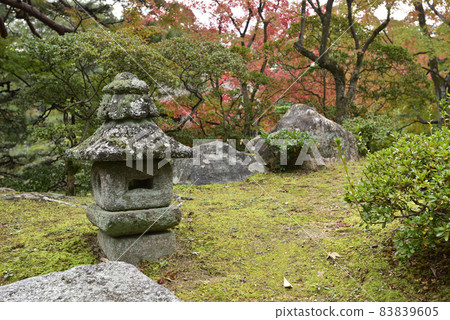 Katsura Imperial Palace Autumn leaves Katsura Imperial Palace Autumn leaves 83839605