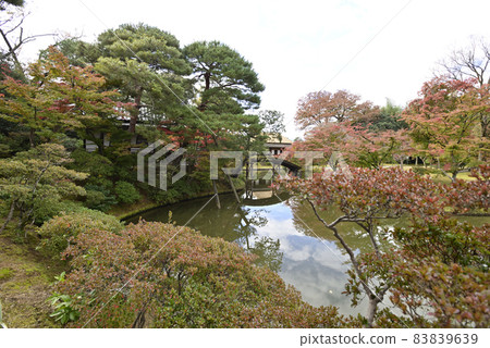Katsura Imperial Palace Autumn leaves Katsura Imperial Palace Autumn leaves 83839639
