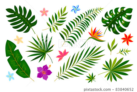 Tropical leaf flower summer print green flat style. Pattern decoration holiday wedding party. Botanic painting fabric clothes bedding room design. Jungle icon cosmetic book game web isolated on white Tropical leaf flower summer print green flat style. Pattern decoration holiday wedding party. Botanic painting fabric clothes bedding room design. Jungle icon cosmetic book game web isolated on white 83840652