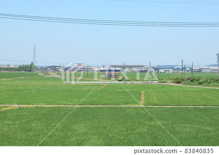 穿過稻田的有軌電車 穿過稻田的有軌電車 83840835