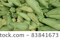 Lots of zucchini close up view. Background from vegetables 83841673