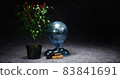 Pepper bush in a bucket with old books 83841691