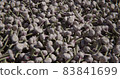 A scattering of garlic. Background with vegetables 83841699