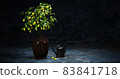 A pot of lemon and an old watering 83841718