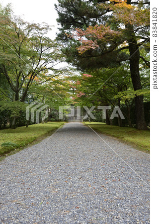 通往Katsura Rikyu大門的道路 通往Katsura Rikyu大門的道路 83841820