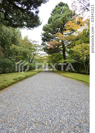 通往Katsura Rikyu大門的道路 83841821